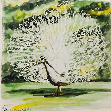 Il Pavone Bed & Breakfast 4*