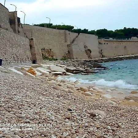 Il Pavone